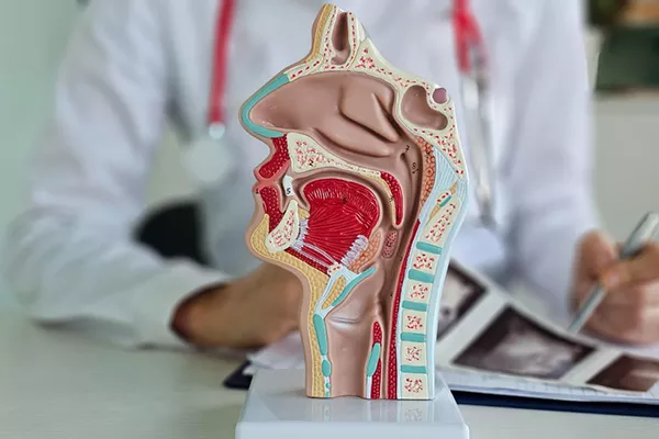 عيادة أنف وأذن وحنجرة في دمشق